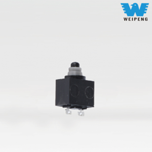 Performance Attributes of the 21 Amp Micro Switch FSK-21-D-004