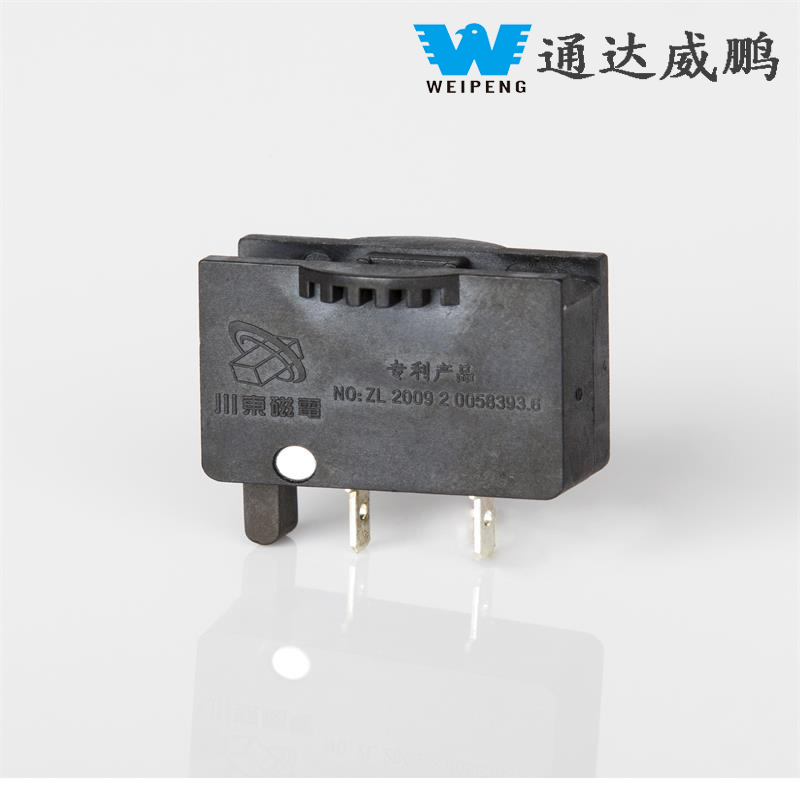 HK-16-2-101 Micro Switch 